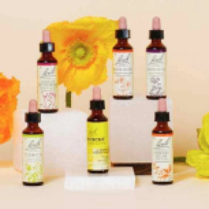 fleurs_bach_illustration_jaune